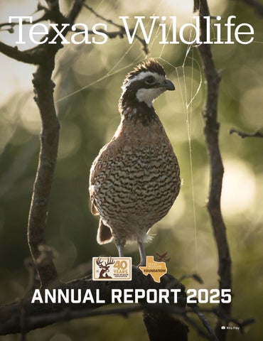 Annual Report 2025