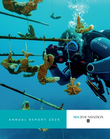 msc-foundation-annual-report-2025