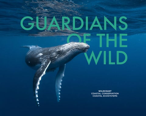 Guardians of the Wild | WildCoast BLAD
