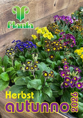 2026_Herbstkatalog_ IT