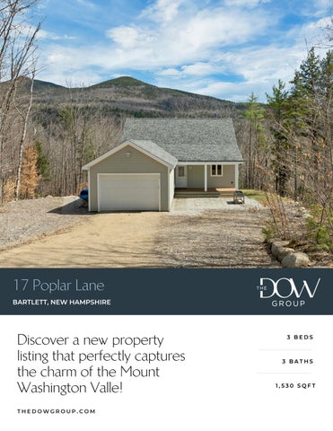 Listing Package & Brochure - 17 Poplar Lane Bartlett (edited)