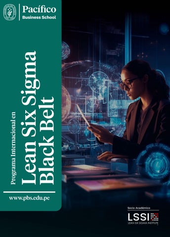 Programa Internacional en Lean Six Sigma Black Belt