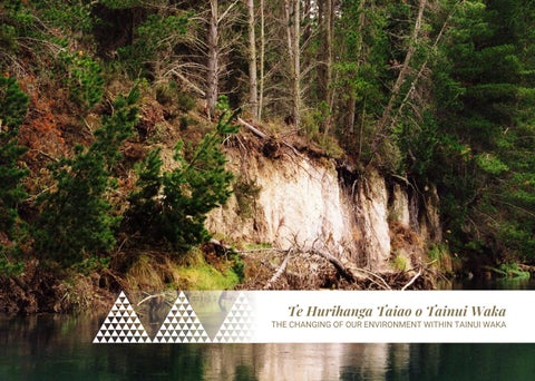 Te Hurihanga Taiao o Tainui Waka