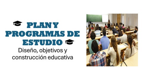 PLAN Y PROGRAMAS DE ESTUDIO