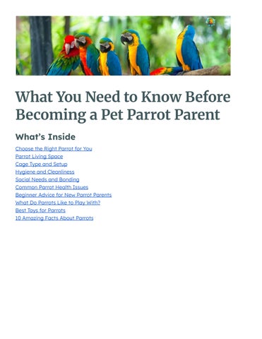Pet Parrot Parent Guide