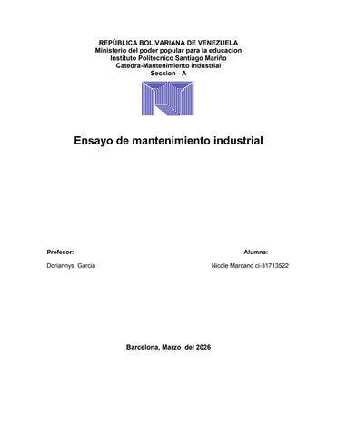 ensayo de mantenimiento industrial 