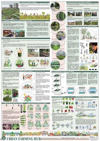 Undergraduate Thesis_NishaK 