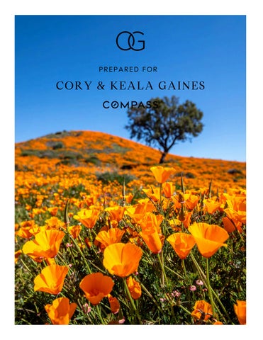 293 Arrowhead Way LISTING PRESENTATION James