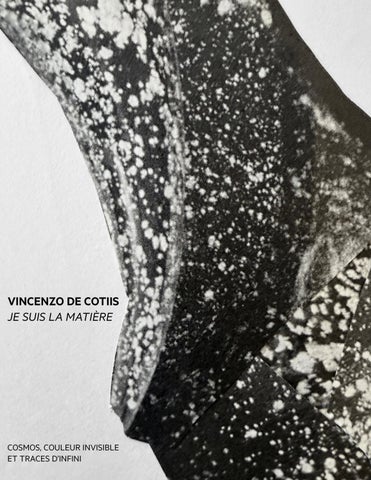 VINCENZO DE COTIIS JE SUIS LA MATIÈRE