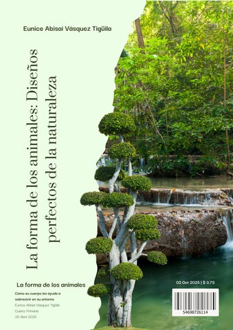 Formas Asombrosas del Reino Animal