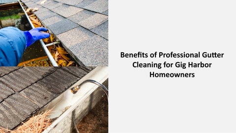 Benefits of Professional Gutter Cleaning for Gig Harbor Homeowners