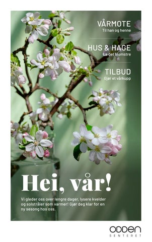 Odden Vår 2026