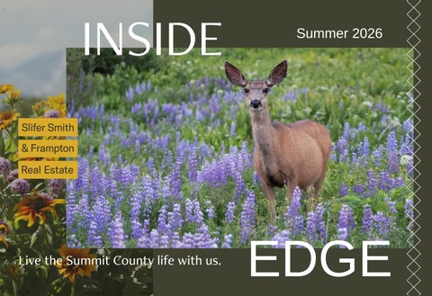 SC | Summer Inside Edge | 2026