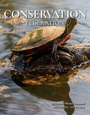 May 2026 vol 87 no 3