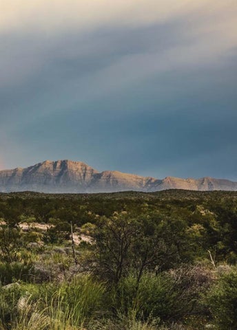 Herencia 德文 la Tierra, Sotol. Legacy of the Land. 第 23 页