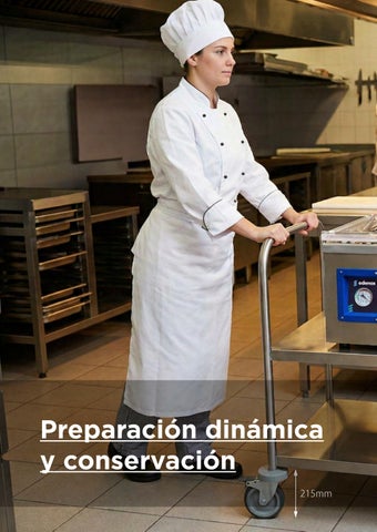 Preparación dinámica y conservación profesional en acero inoxidable