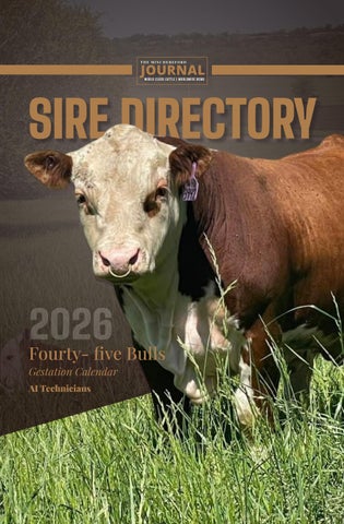 2026 The Miniature Hereford Journal Sire Directory