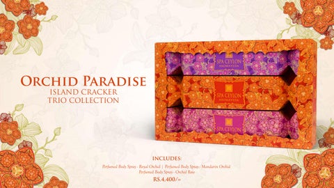 Orchid Paradise - Festive 灯饰产品集 - 2025 第 12 页