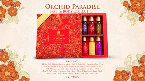 Orchid Paradise - Festive 灯饰产品集 - 2025 第 18 页