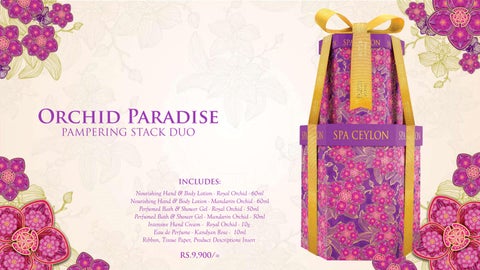 Orchid Paradise - Festive 灯饰产品集 - 2025 第 19 页