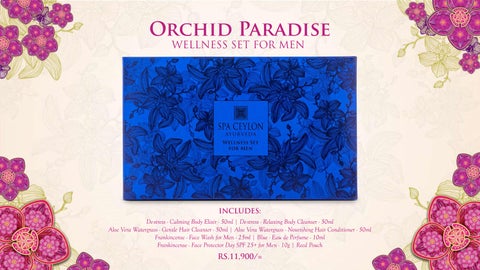 Orchid Paradise - Festive 灯饰产品集 - 2025 第 20 页