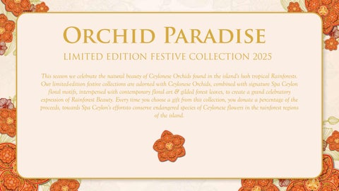 Orchid Paradise - Festive 灯饰产品集 - 2025 第 2 页