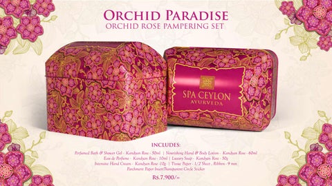 Orchid Paradise - Festive 灯饰产品集 - 2025 第 5 页