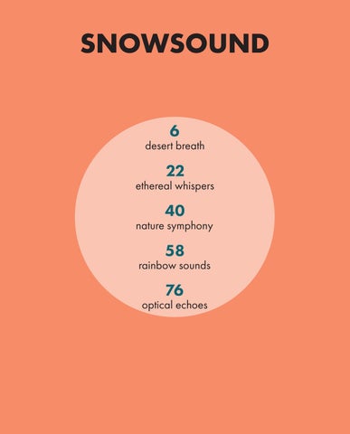 Caimi Snowsoun Shape your space 第 2 页