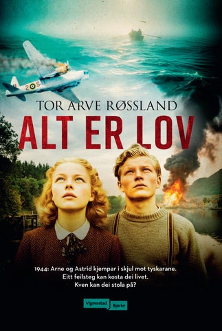Alt er lov (9788241967696)