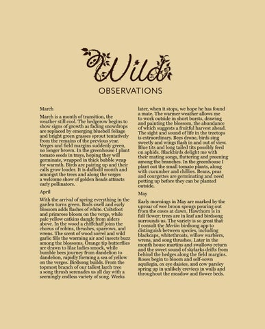 Sheila Anderson-Hardy | Wild 第 10 页