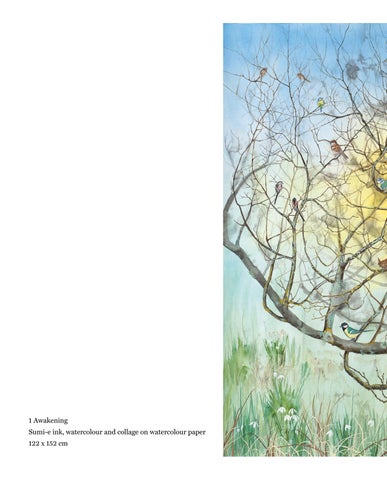 Sheila Anderson-Hardy | Wild 第 12 页