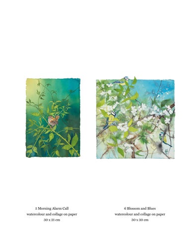 Sheila Anderson-Hardy | Wild 第 17 页