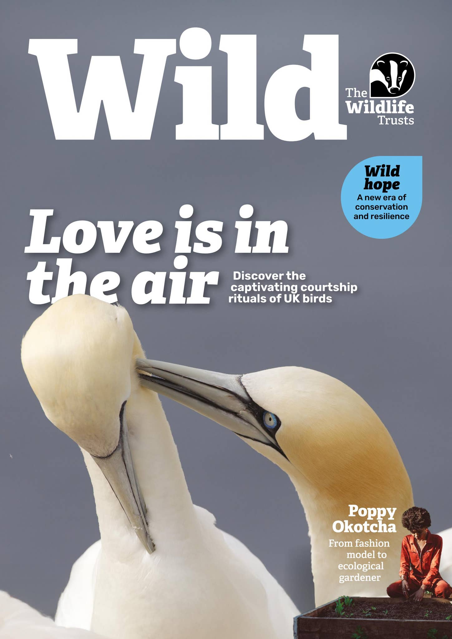 Wild Magazine Computer Science Wild - The Wildlife Trusts' Magazine by The Wildlife Trusts - Issuu