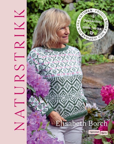 9788241968006 Naturstrikk