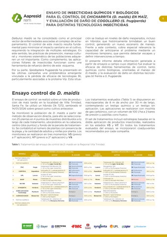informe Dalbulus maidis - Spodoptera frugiperda