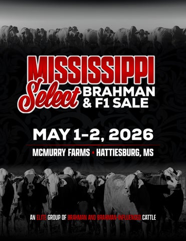 MS Select Catalog (updated web)
