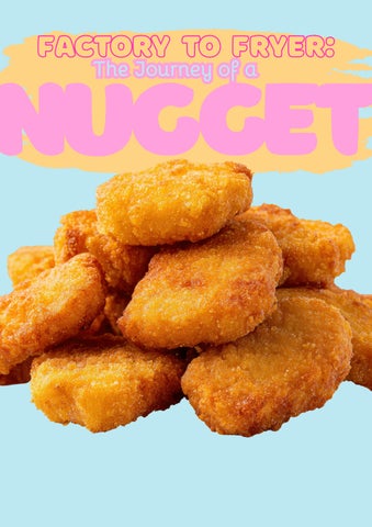Factory to fryer: The Journey of a Nugget