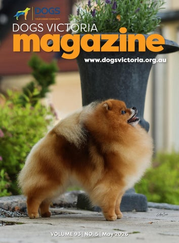DV MAY Magazine & Gazette 2026