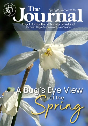 RHSI Journal SPRING 2026 Digital Edition 
