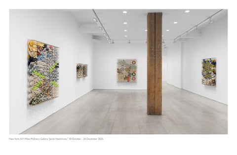 JACOB HASHIMOTO 第 14 页