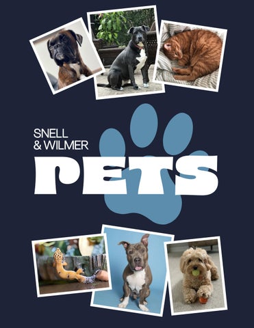 S&W Pet Photo Album