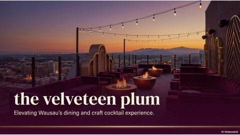 The Velveteen Plum Elevated Rooftop Dining and Cocktails