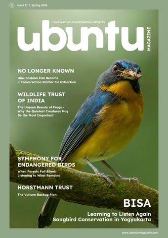 Ubuntu Magazine, spring 2026