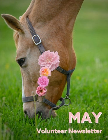 May Newsletter 2026