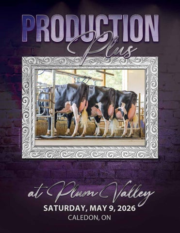 Production Plus at Plum Valley 