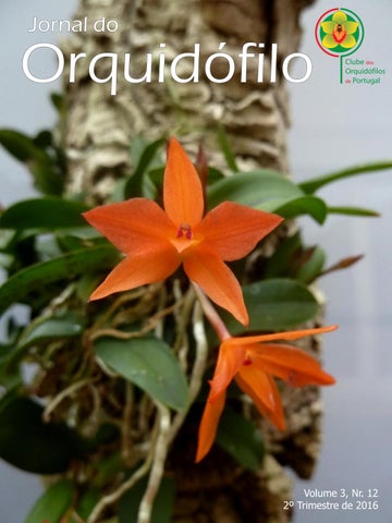 Jornal do Orquidofilo Nr. 12 - 2016