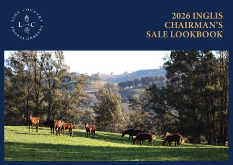 Lime Country Thoroughbreds 2026 Inglis Chairmans Sale Lookbook 