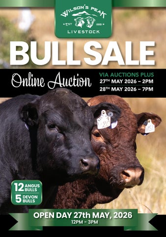 WILSON'S PEAK 2026 Bull Sale