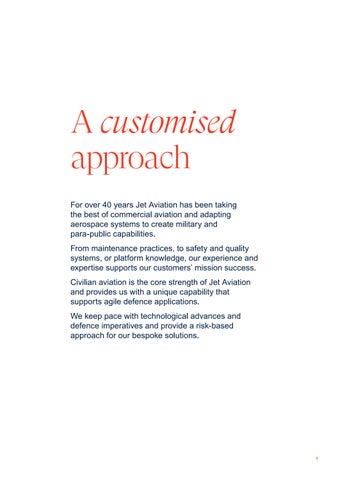 商用 Aviation Capabilities for Government Programs 第 3 页