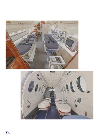 商用 Aviation Capabilities for Government Programs 第 8 页
